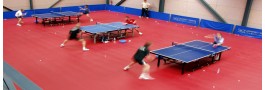 Taraflex Table Tenis